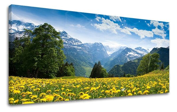 Obraz na stěnu PANORAMA KRAJINA - 30x60 cm