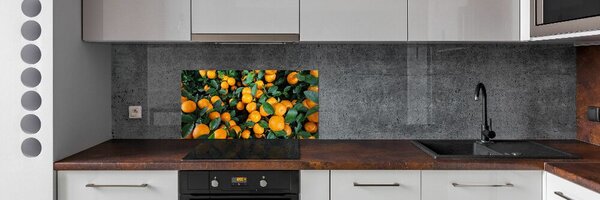 Dekorační panel sklo Mandarinky pksh-57364475