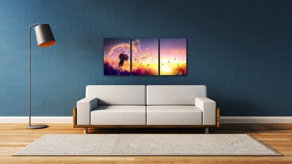 Impresi Obraz Pampeliška se západem slunce - 150 x 70 cm (3 dílný)