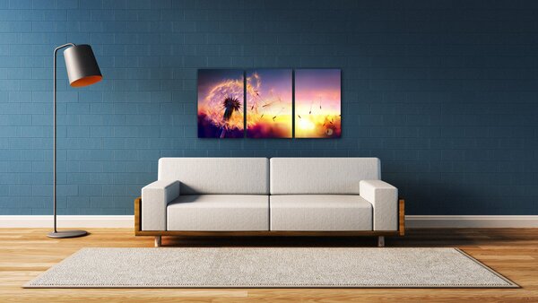 Impresi Obraz Pampeliška se západem slunce - 120 x 60 cm (3 dílný)