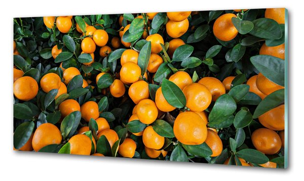 Dekorační panel sklo Mandarinky pksh-57364475
