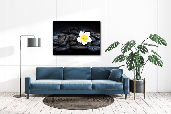 Impresi Obraz Bílý květ na černých kamenech - 70 x 50 cm