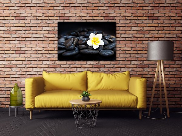 Impresi Obraz Bílý květ na černých kamenech - 60 x 40 cm