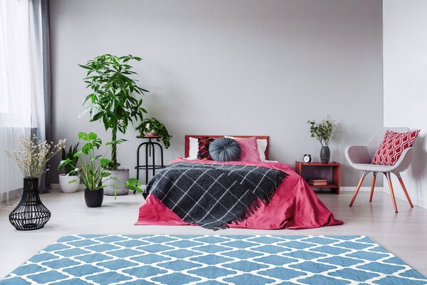 Tutumi Plyšový koberec Clover Blue Rozměr (cm): 120 x 170