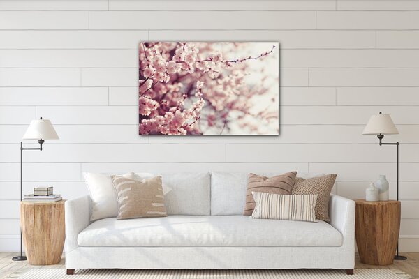 Impresi Obraz Světle růžové květy - 60 x 40 cm