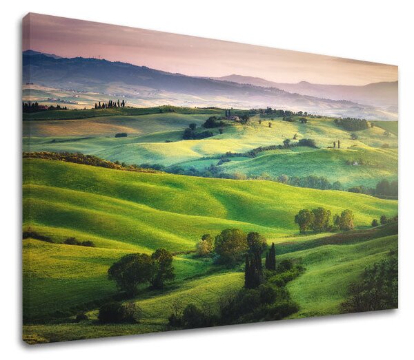Obraz na stěnu LÚKA_049-11 - 20x30 cm
