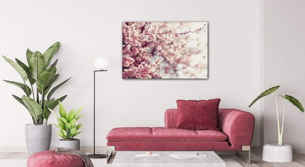 Impresi Obraz Světle růžové květy - 60 x 40 cm