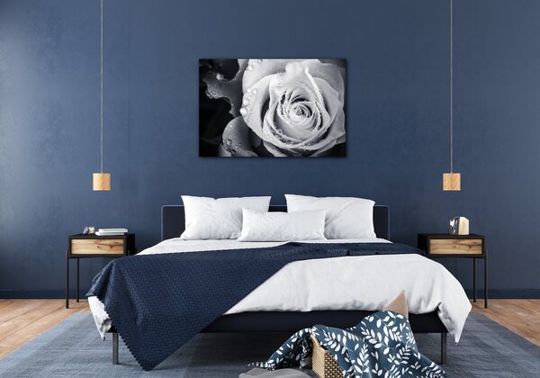 Impresi Obraz Černobílá růže s kapkami vody - 60 x 40 cm