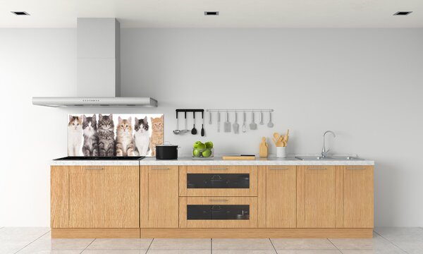 Dekorační panel sklo Šest koček pksh-57635875