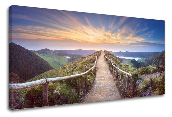 Obraz na stěnu COUNTRY_058-11 - 30x60 cm
