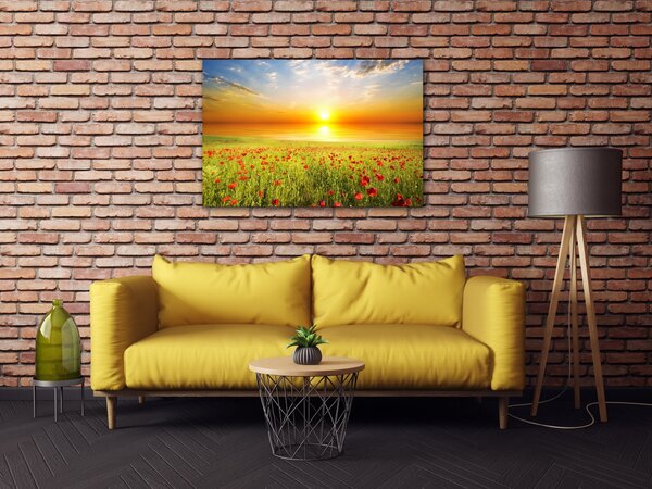 Impresi Obraz Makové pole - 60 x 40 cm