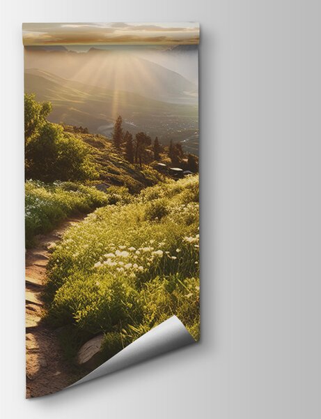 Fototapeta Cesta přes travnaté pole s horami v pozadí, Horské fototapety, Populární fototapety, u96209 - Tapeko.co.cz