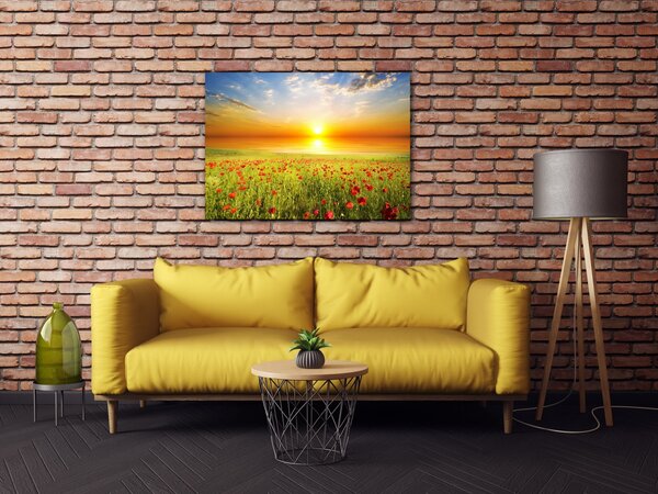 Impresi Obraz Makové pole - 70 x 50 cm
