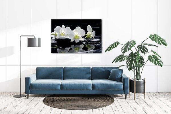 Impresi Obraz Bílé orchidee na černém pozadí - 60 x 40 cm