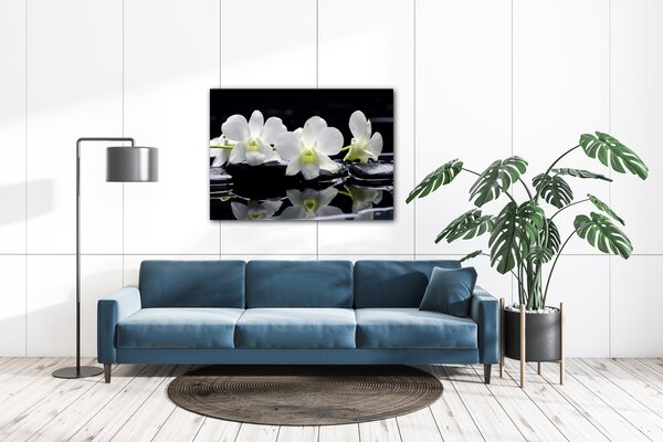 Impresi Obraz Bílé orchidee na černém pozadí - 70 x 50 cm