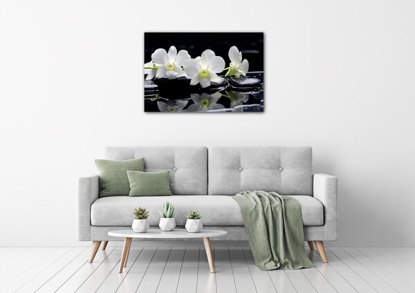 Impresi Obraz Bílé orchidee na černém pozadí - 60 x 40 cm
