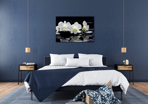 Impresi Obraz Bílé orchidee na černém pozadí - 60 x 40 cm