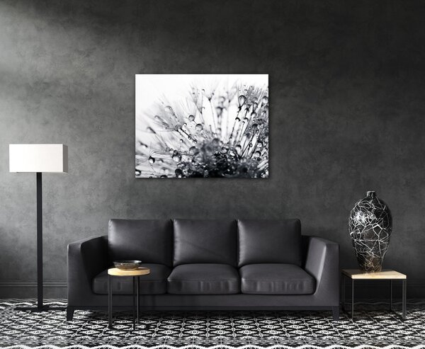 Impresi Obraz Pampeliška s kapkami vody - 90 x 70 cm