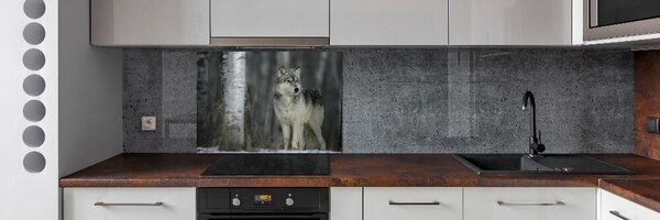 Dekorační panel sklo Šedý vlk pksh-57875164