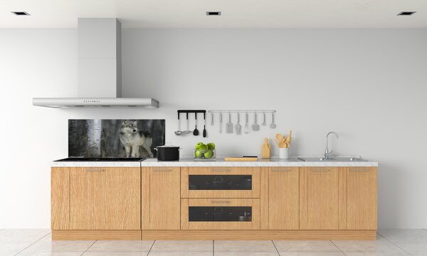 Dekorační panel sklo Šedý vlk pksh-57875164