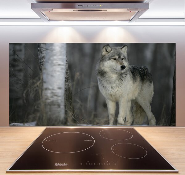 Dekorační panel sklo Šedý vlk pksh-57875164