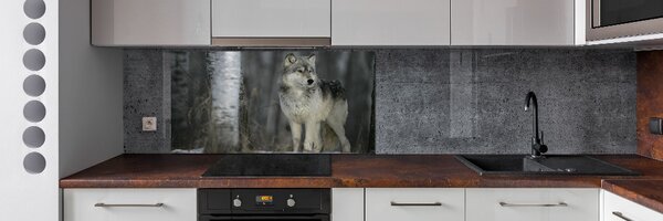 Dekorační panel sklo Šedý vlk pksh-57875164