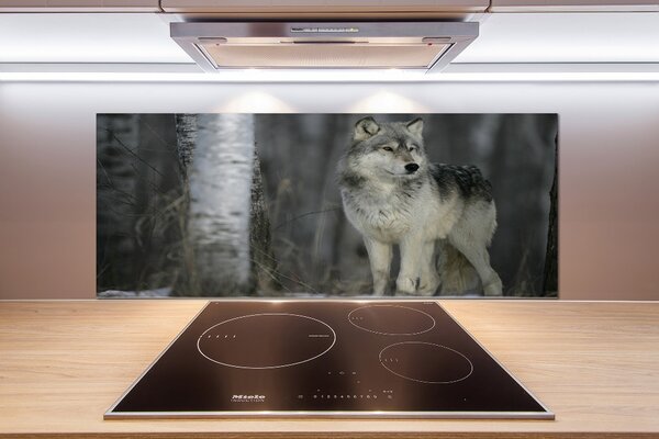Dekorační panel sklo Šedý vlk pksh-57875164