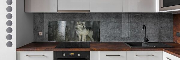 Dekorační panel sklo Šedý vlk pksh-57875164