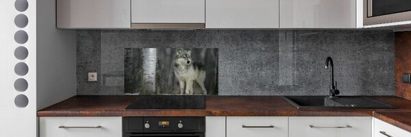 Dekorační panel sklo Šedý vlk pksh-57875164