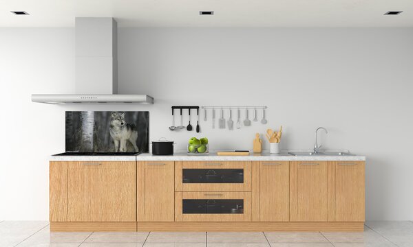 Dekorační panel sklo Šedý vlk pksh-57875164