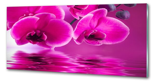 Skleněný panel do kuchynské linky Orchidej pksh-58002130