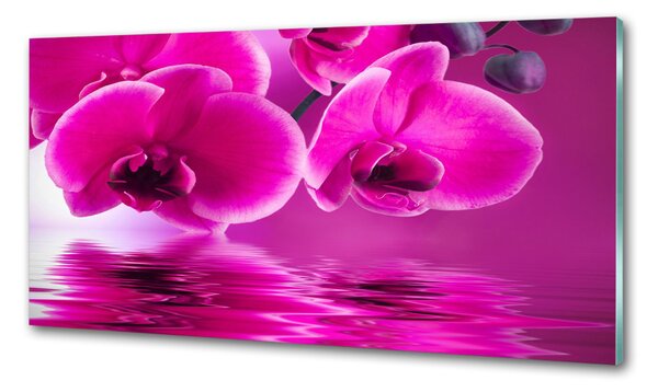 Skleněný panel do kuchynské linky Orchidej pksh-58002130