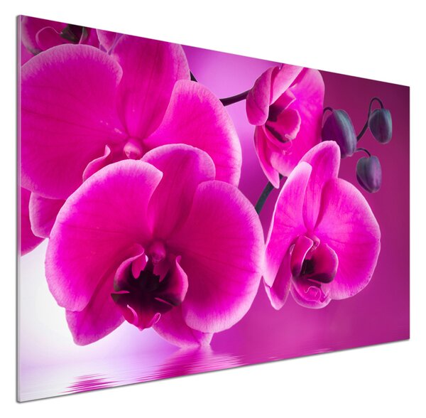 Skleněný panel do kuchynské linky Orchidej pksh-58002130