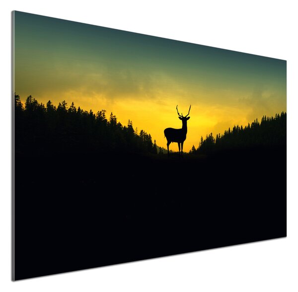 Skleněný panel do kuchyně Jelen pksh-58295235