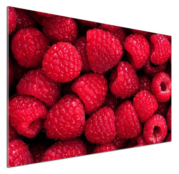 Skleněný panel do kuchyně Maliny pksh-58586956