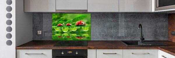 Panel do kuchyně Berušky deštníky pksh-58636971