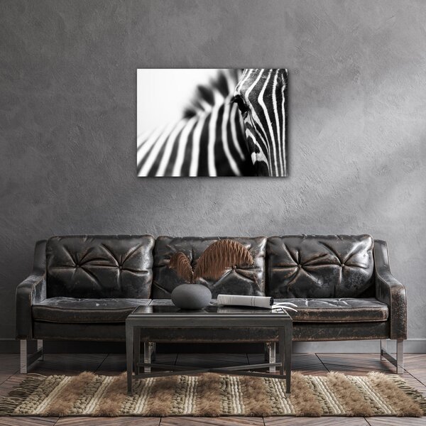 Impresi Obraz Zebra detail - 70 x 50 cm