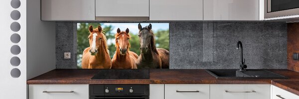 Dekorační panel sklo Tři koně pksh-58776709