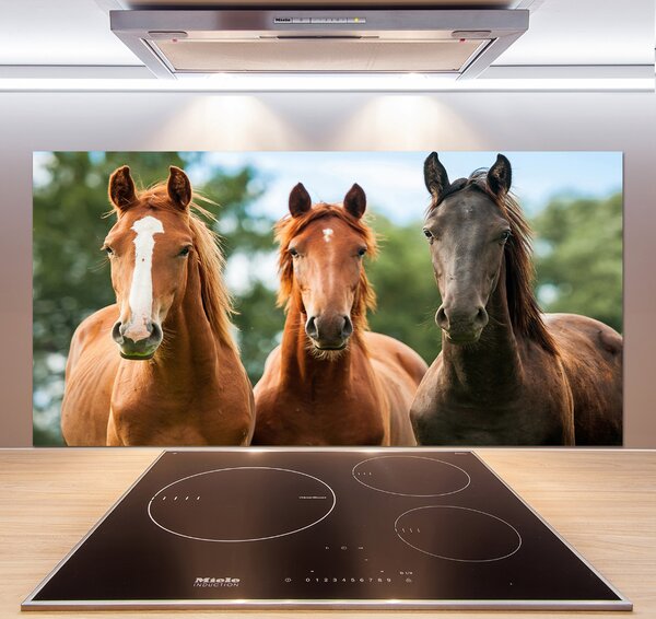 Dekorační panel sklo Tři koně pksh-58776709