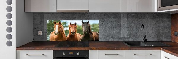 Dekorační panel sklo Tři koně pksh-58776709