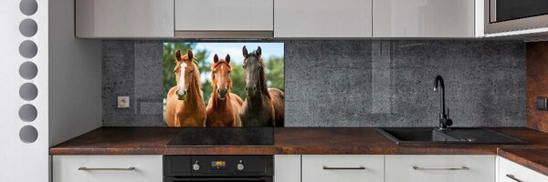 Dekorační panel sklo Tři koně pksh-58776709