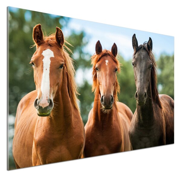Dekorační panel sklo Tři koně pksh-58776709