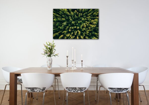 Impresi Obraz Les - 60 x 40 cm