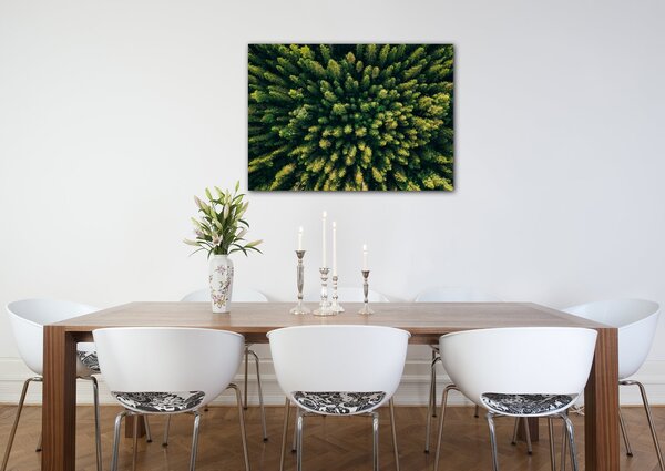 Impresi Obraz Les - 70 x 50 cm