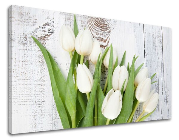 Obraz na stěnu KVĚTY TULIPÁNY - 20x30 cm