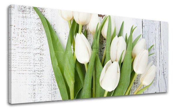 Obraz na stěnu PANORAMA KVĚTINY - 30x60 cm