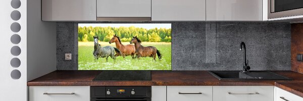 Panel do kuchyně Koně ve cvalu pksh-58845191