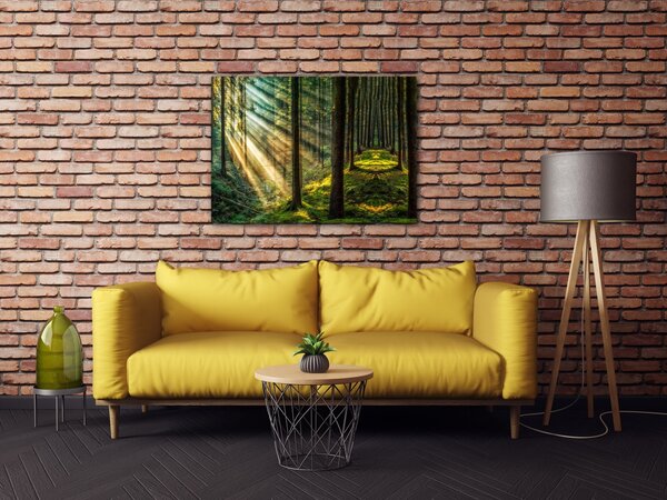 Impresi Obraz Paprsky slunce v lese - 70 x 50 cm