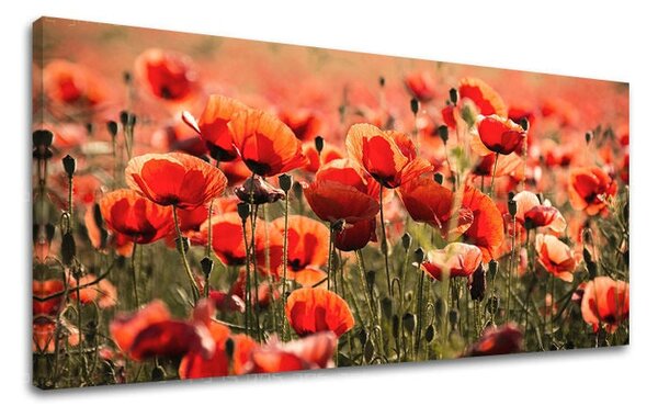 Obraz na stěnu PANORAMA KVĚTINY - 30x60 cm