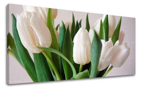 Panoramatický obraz na stěnu KVĚTINY - 30x60 cm